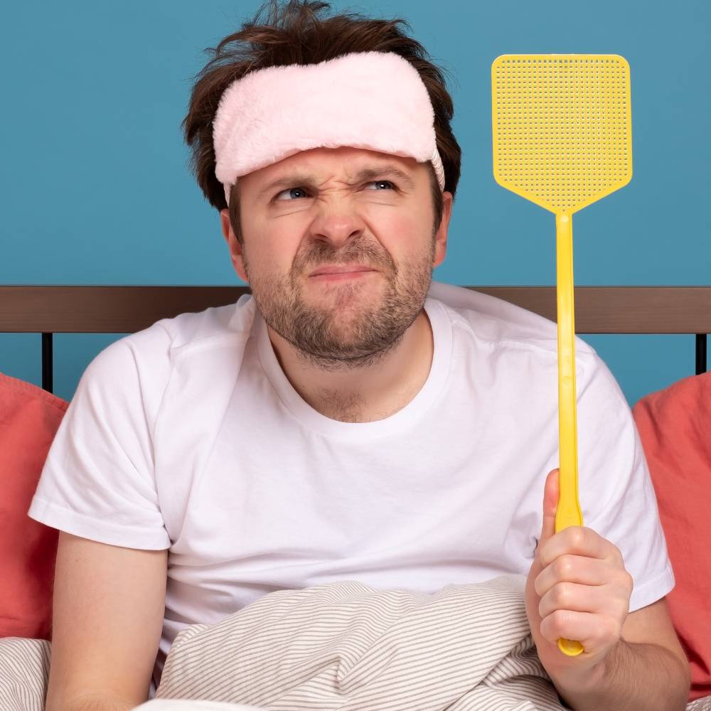 Hand Plastic Fly Swatter